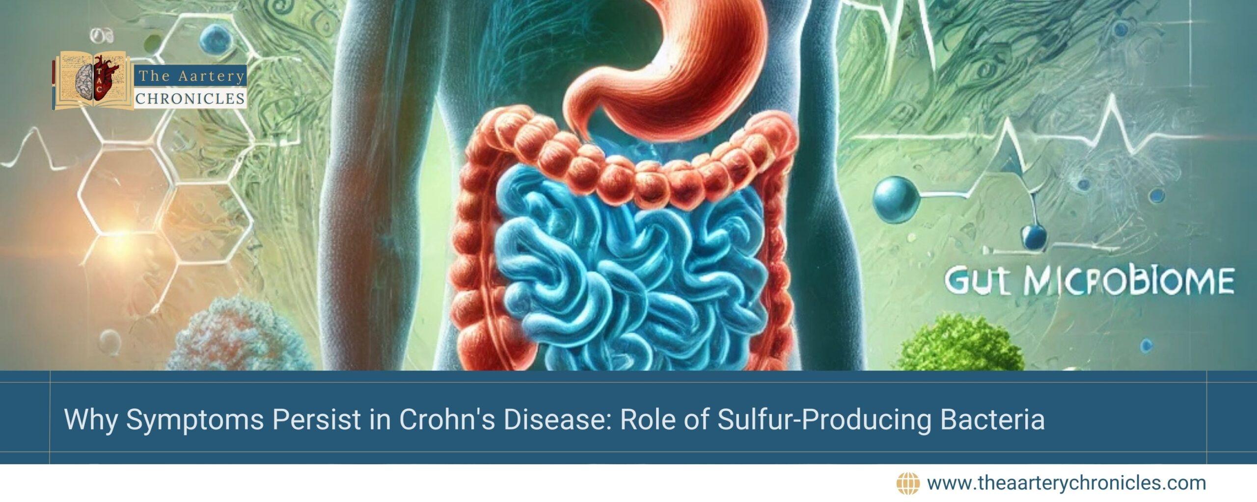 why-symptoms-persist-in-crohns-disease-role-of-sulfur-producing-bacteria-the-aartery-chronicles-tac