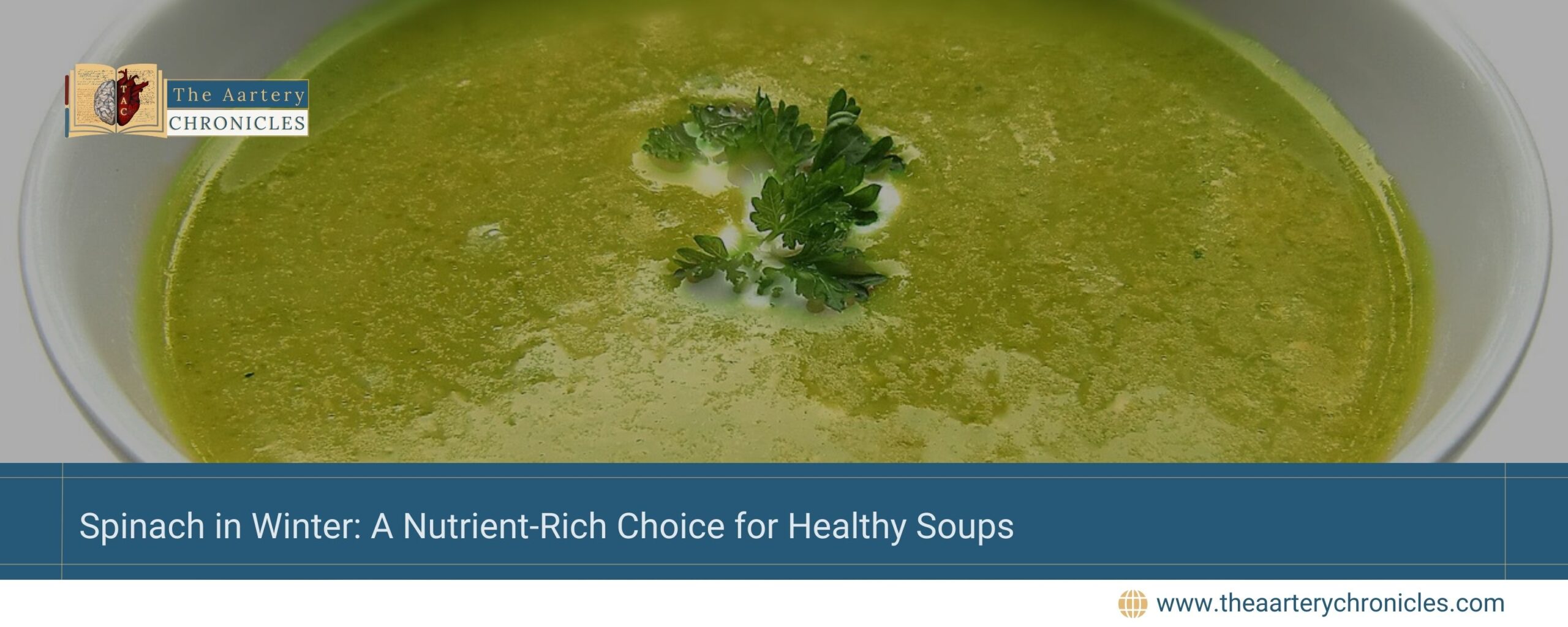 Spinach-in-Winter:-A-Nutrient-Rich-Choice-for-Healthy-Soups-The-Aartery-Chronicles-TAC