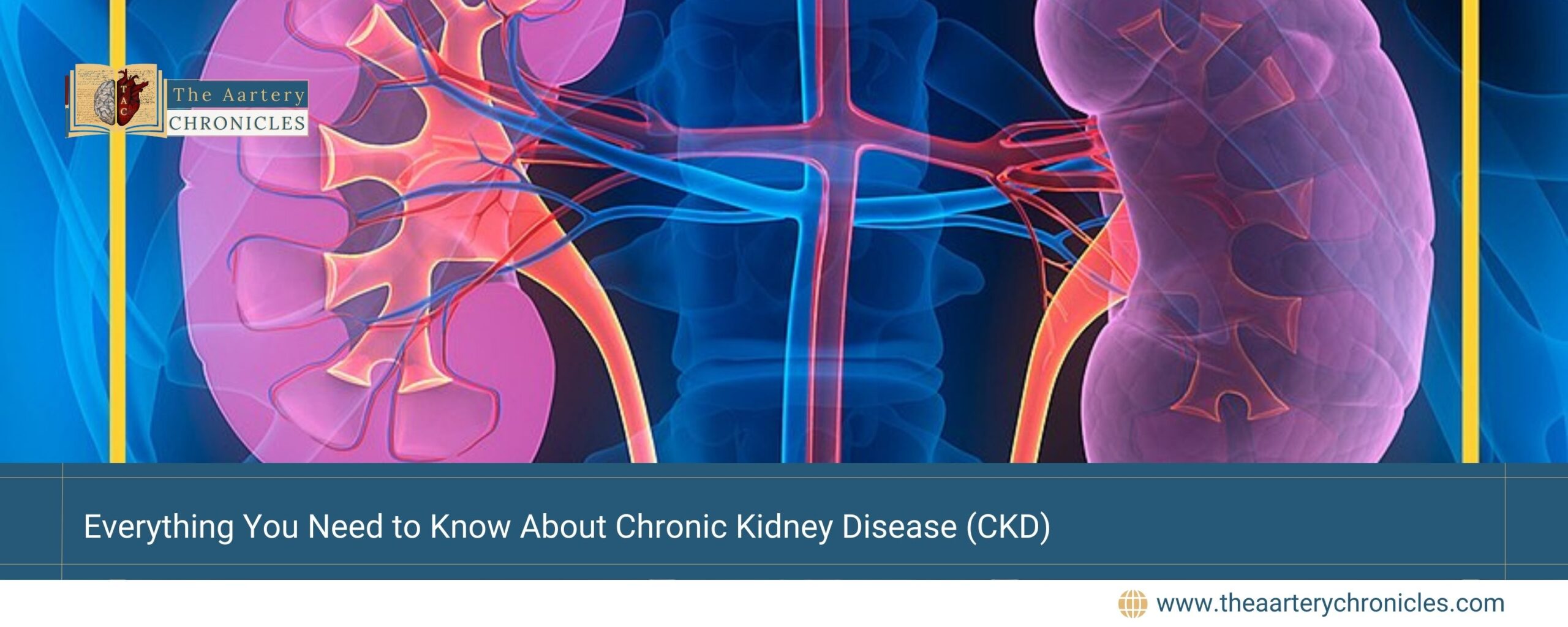 Everything-You-Need-to-Know-About-Chronic-Kidney-Disease-(CKD)-The-Aartery-Chronicles-TAC