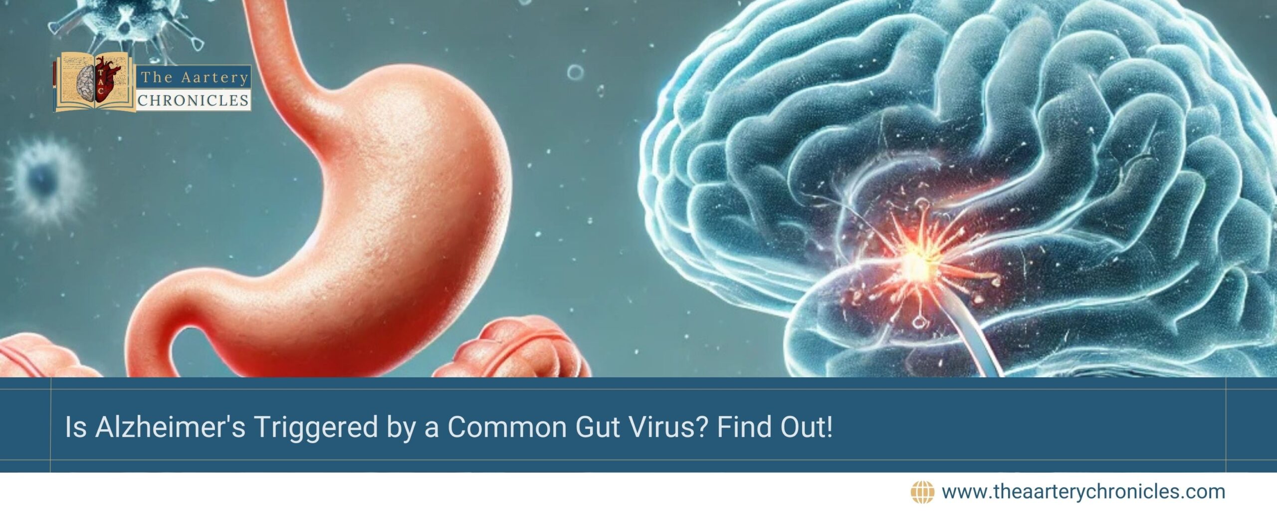 Is Alzheimer's Triggered by a Common Gut Virus? Find Out!