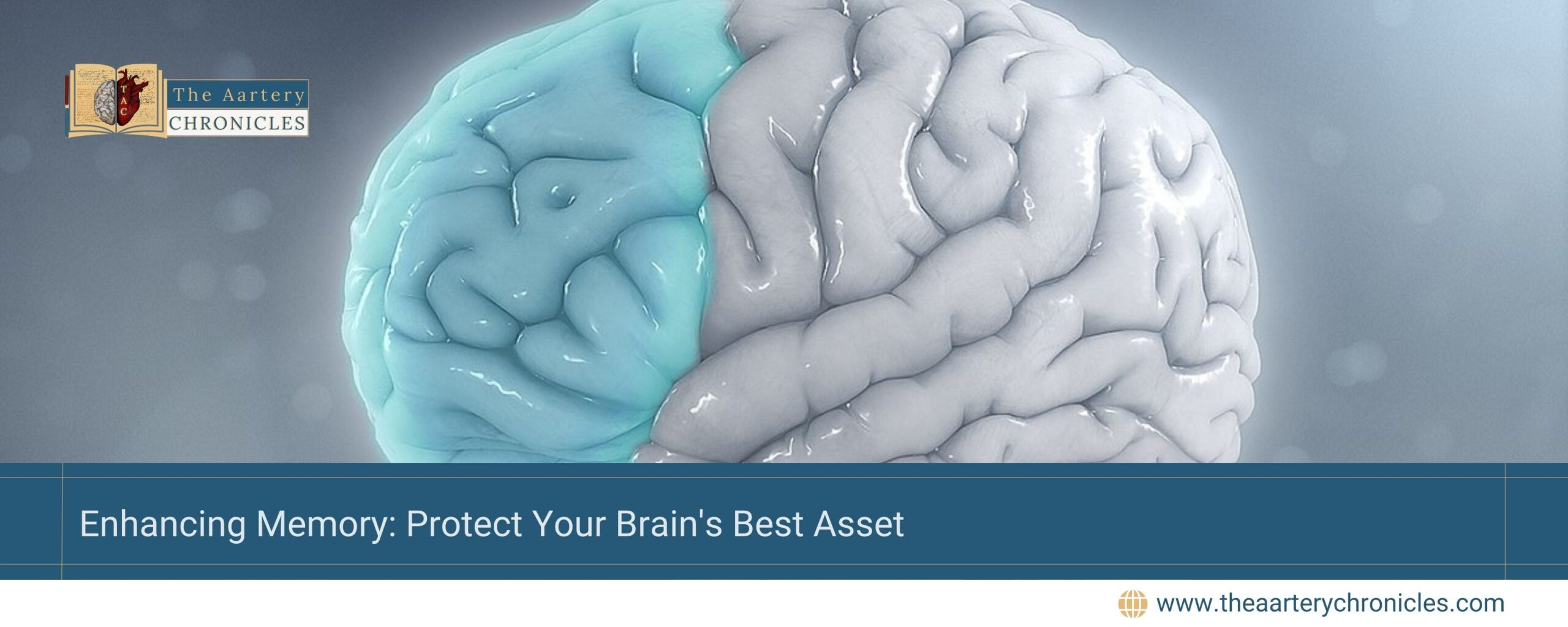 Enhancing-Memory:-Protect-Your-Brain's-Best-Asset-The-Aartery-Chronicles-TAC