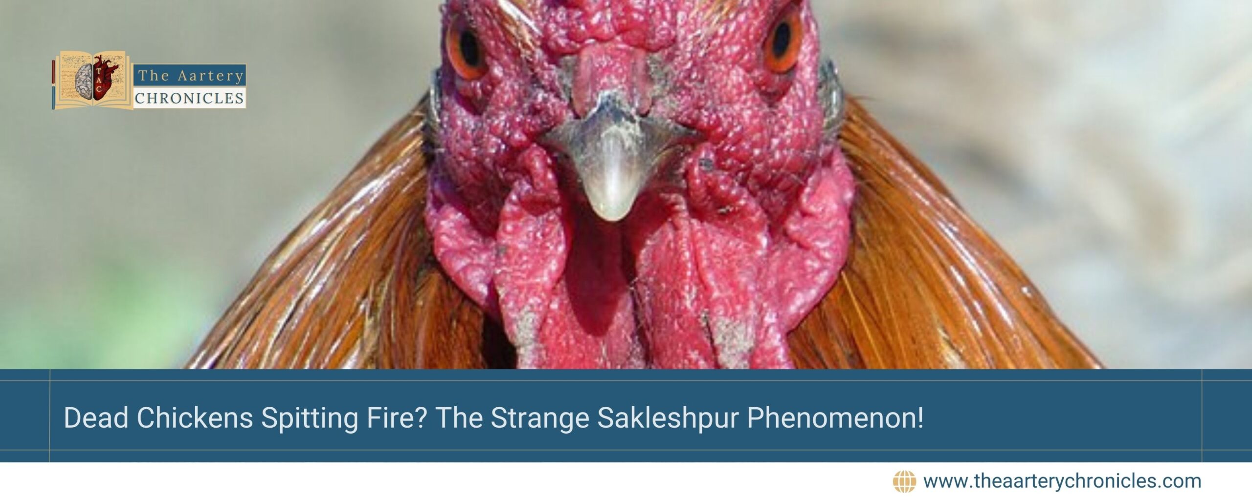 Dead-Chickens-Spitting-Fire?-The-Strange-Sakleshpur-Phenomenon!-The-Aartery-Chronicles-TAC