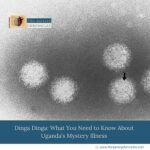 Dinga-Dinga:-What-You-Need-to-Know-About-Uganda’s-Mystery-Illness-the-Aartery-Chronicles-TAC