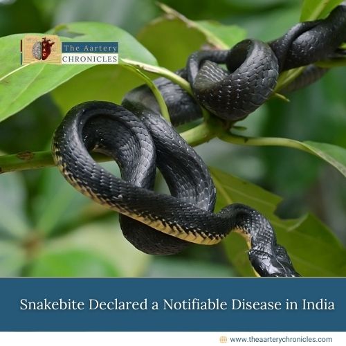 Snakebite-Declared-a-Notifiable-Disease-in-India-The-Aartery-Chronicles-TAC