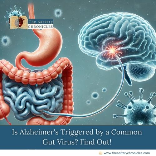 Is Alzheimer's Triggered by a Common Gut Virus? Find Out!