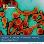 Insights-On-Marburg-Virus-Disease,-A-Deadly-Hemorrhagic-Fever-The-Aartery-Chronicles-TAC