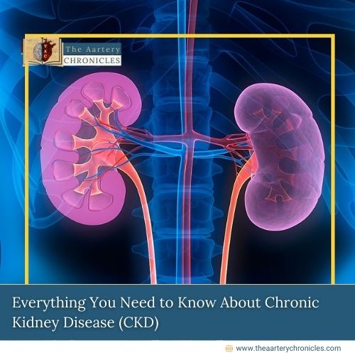 Everything-You-Need-to-Know-About-Chronic-Kidney-Disease-(CKD)-The-Aartery-Chronicles-TAC