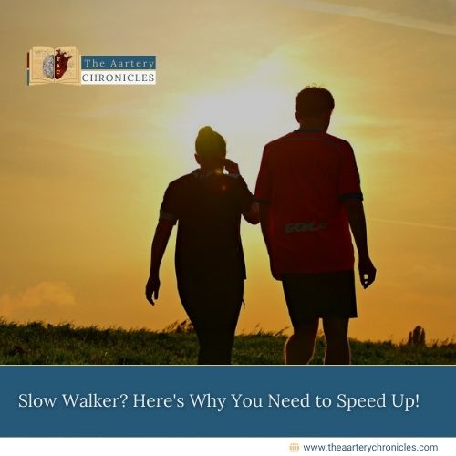 Slow Walker? Here’s Why You Need to Speed Up!