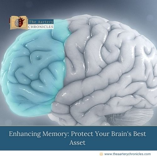 Enhancing-Memory:-Protect-Your-Brain's-Best-Asset-The-Aartery-Chronicles-TAC