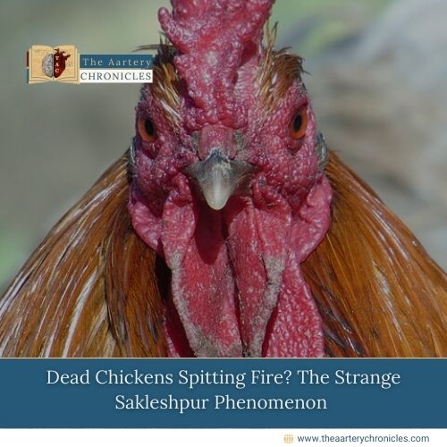 Dead-Chickens-Spitting-Fire?-The-Strange-Sakleshpur-Phenomenon!-The-Aartery-Chronicles-TAC