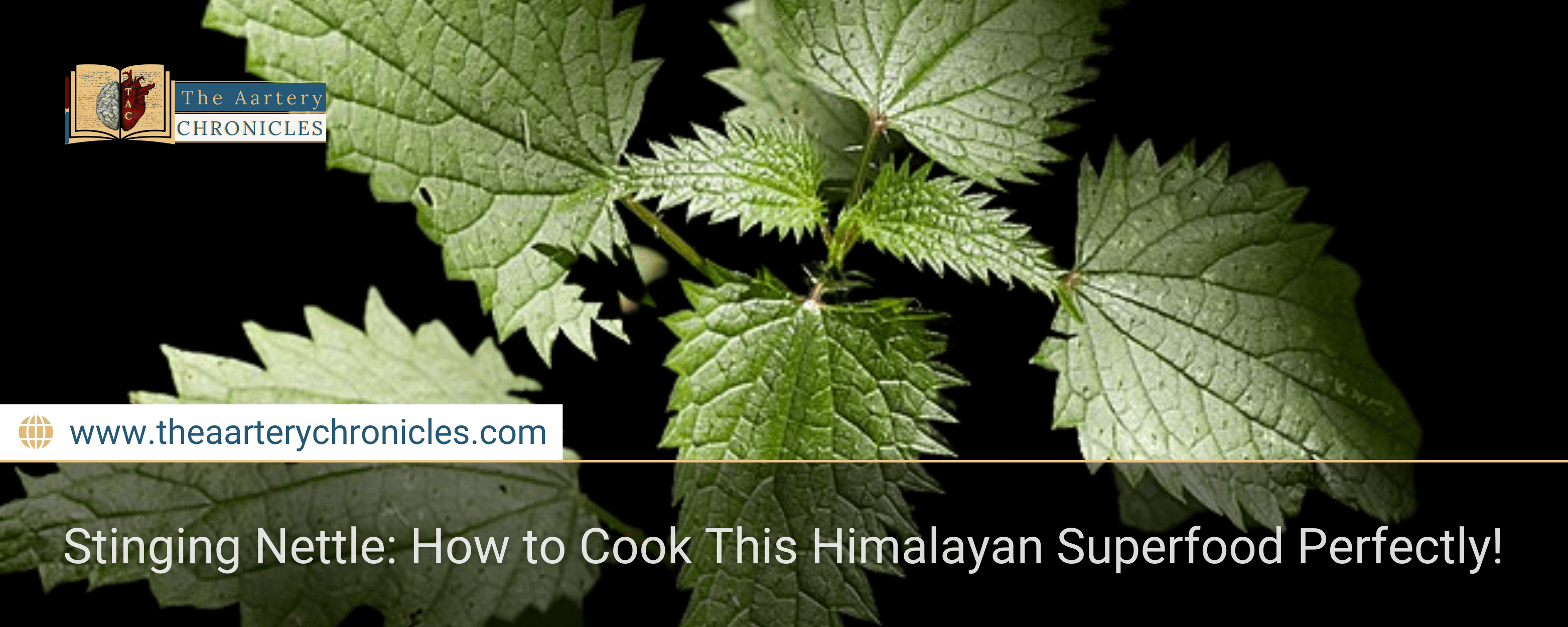 Himalayan Superfood: How to Cook Stinging Nettle Perfectly