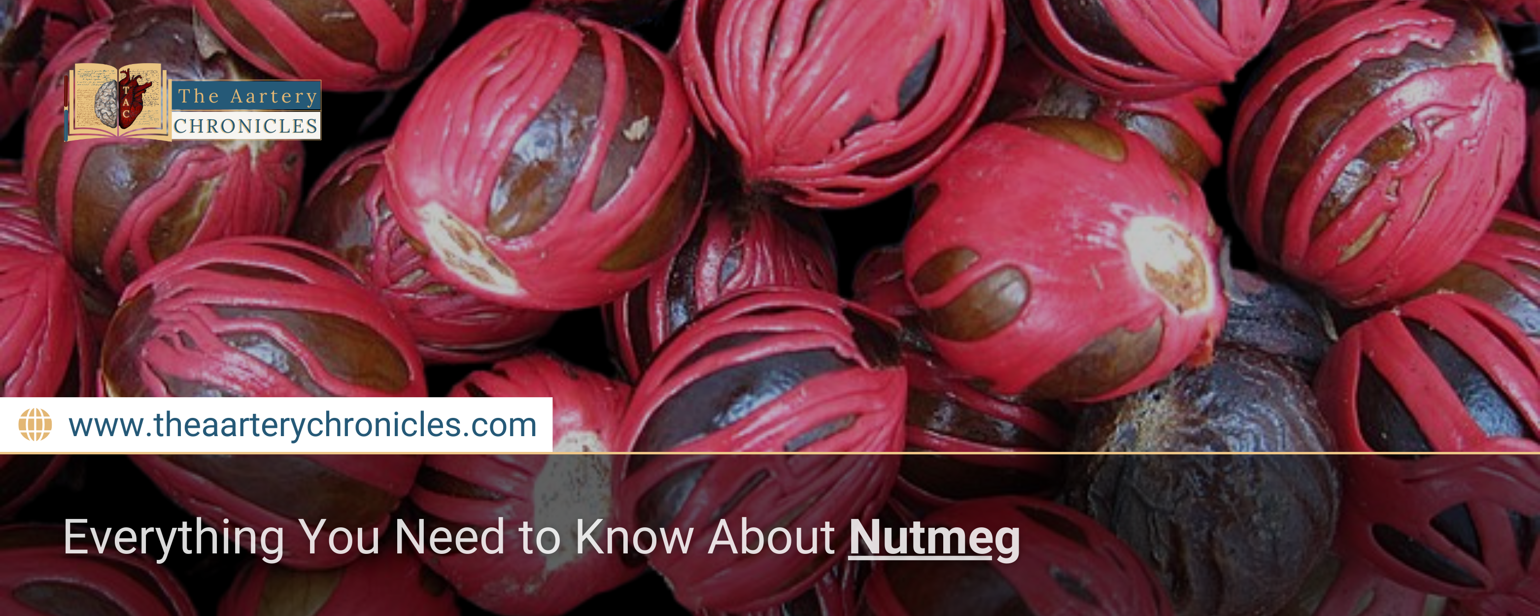 Everything-You-Need-to-Know-About-Nutmeg:-From-Tree-to-Table-The-Aartery-Chronicles-TAC