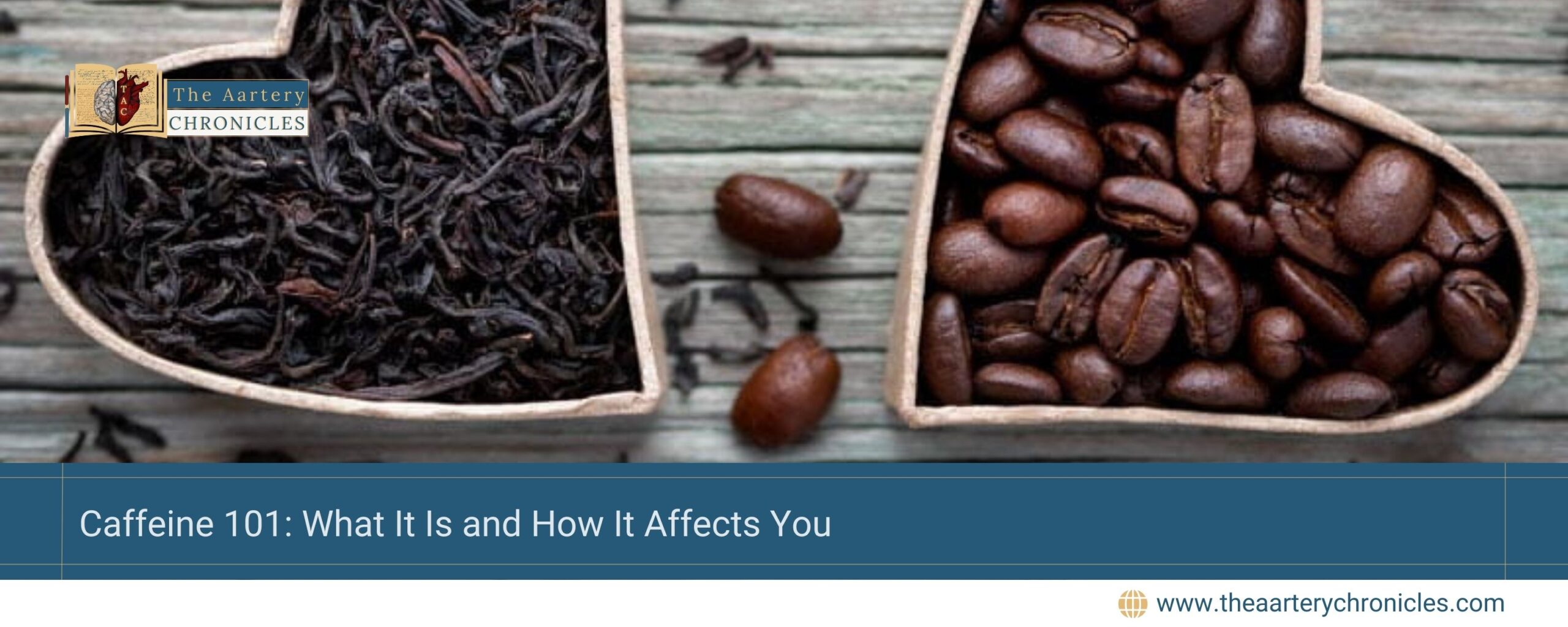 caffeine-101-what-it-is-and-how-it-affects-you-the-aartery-chronicles-tac