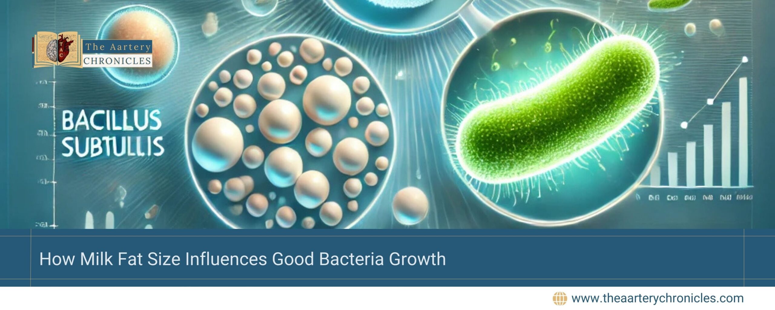 how-milk-fat-size-influences-good-bacteria-growth-the-aartery-chronicles-tac