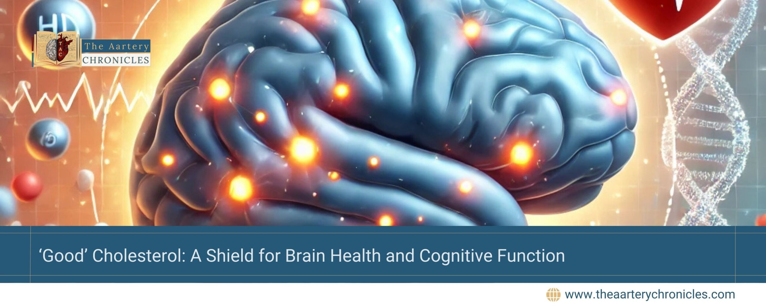 good-cholesterol-a-shield-for-brain-health-and-cognitive-function-the-aartery-chronicles-tac