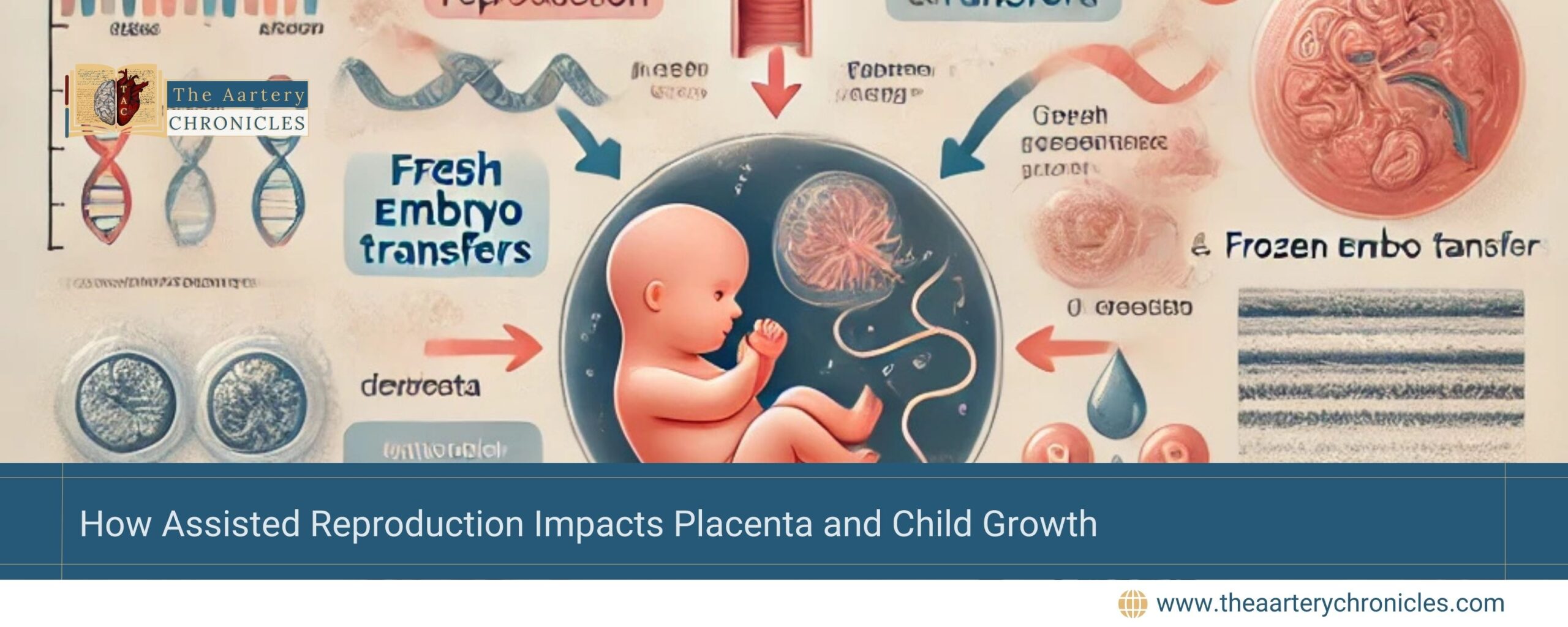 how-assisted-reproduction-impacts-placenta-and-child-growth-the-aartery-chronicles-tac