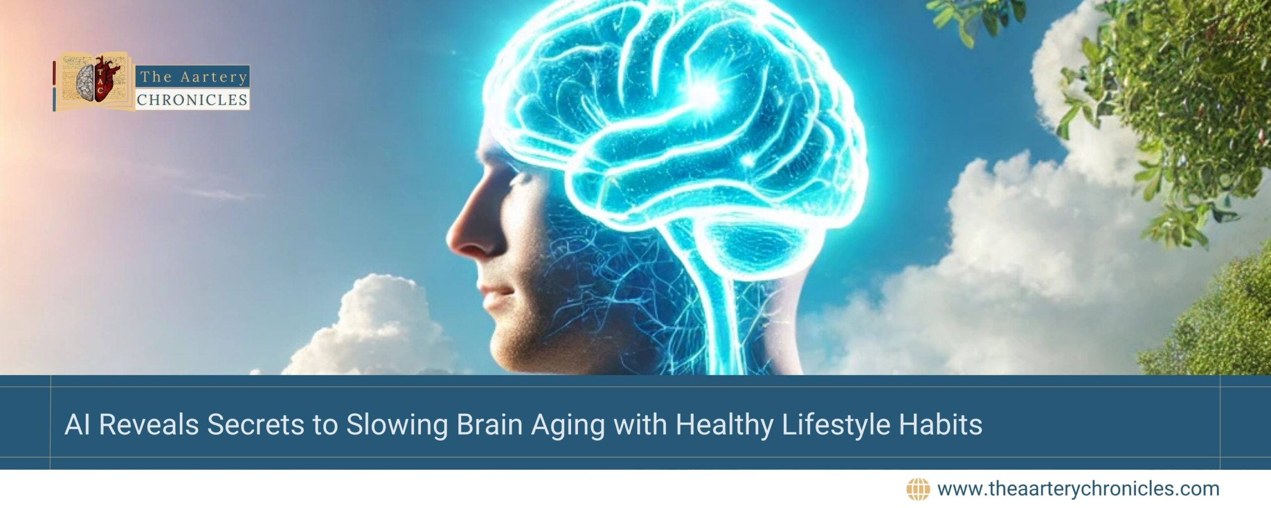 how-your-healthy-daily-habits-shape-brain-aging-the-aartery-chronicles-tac