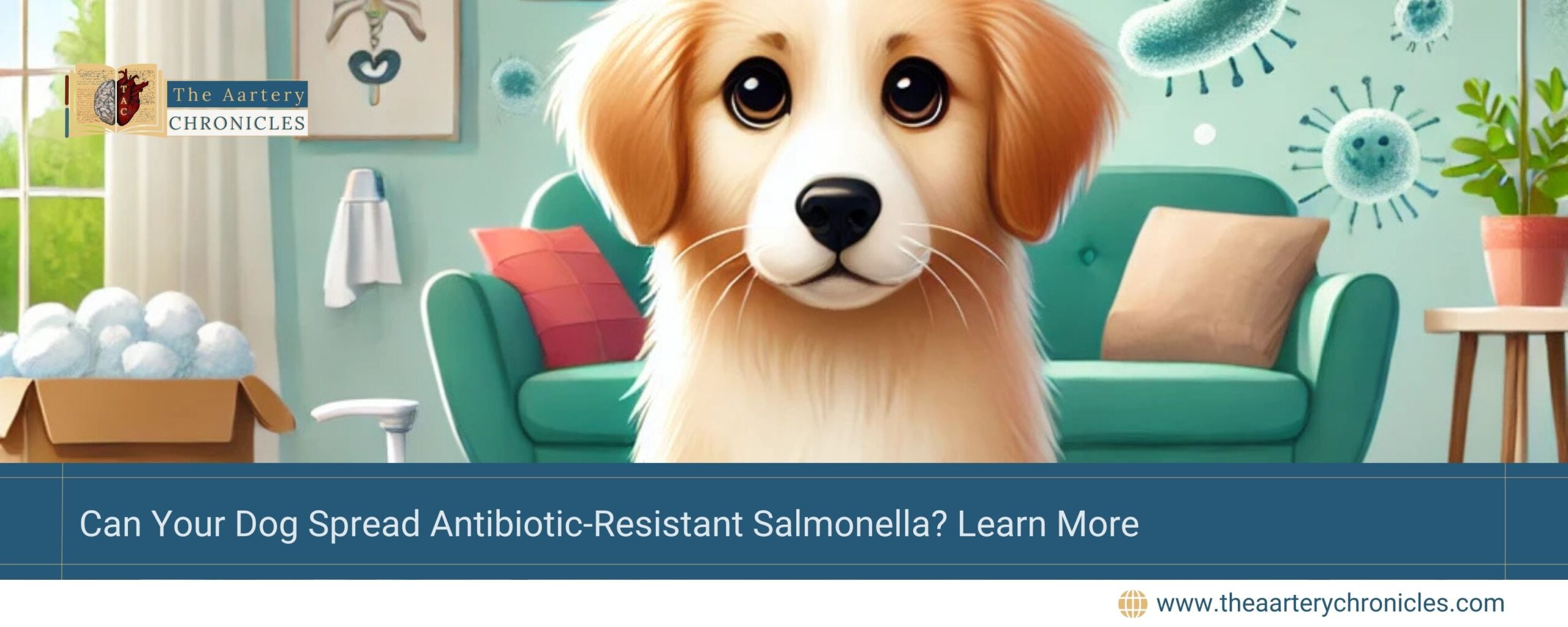 can-your-dog-spread-antibiotic-resistant-salmonella-learn-more-the-aartery-chronicles-tac