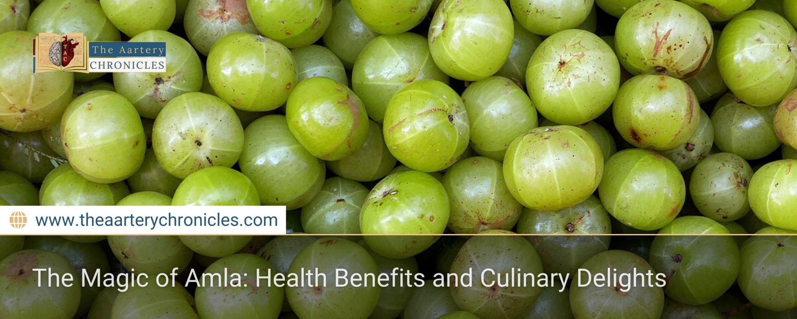 The-Magic-of-Amla:-Health-Benefits-and-Culinary-Delights-The-Aartery-Chronicles-TAC