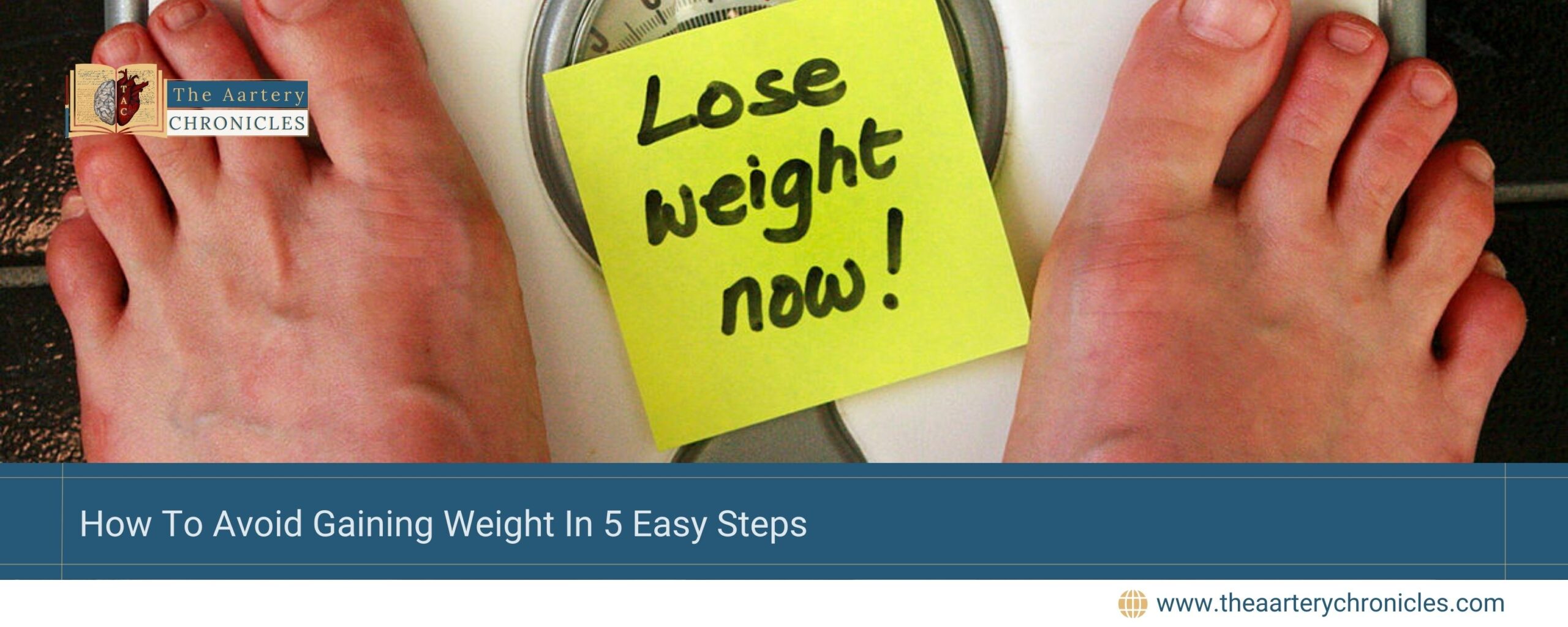 How-To-Avoid-Gaining-Weight-In-5-Easy-Steps-The-Aartery-Chronicles-TAC