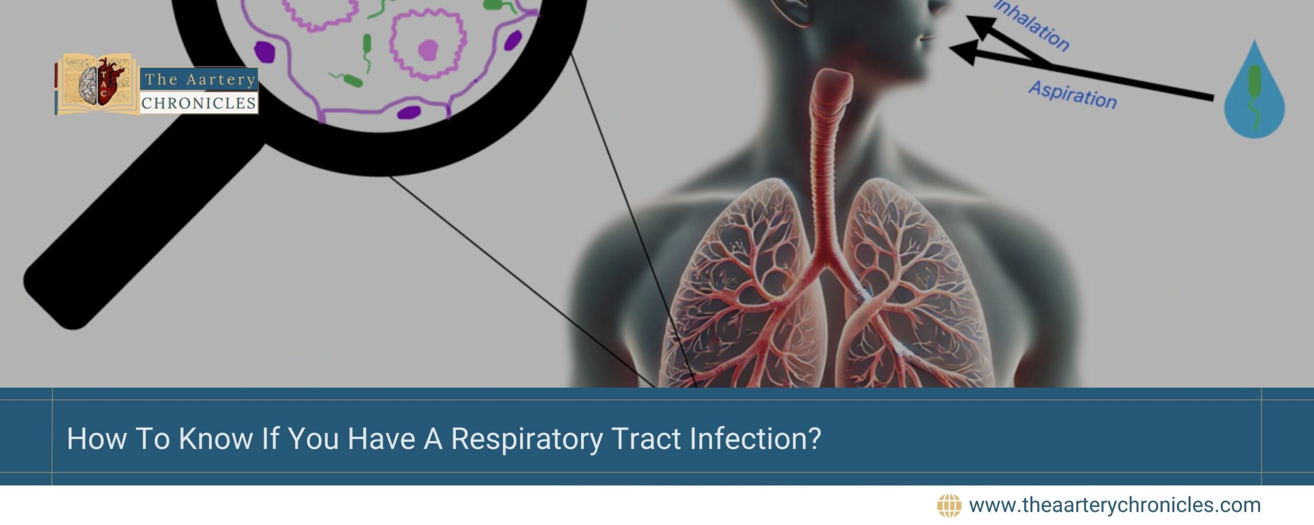 How-To-Know-If-You-Have-A-Respiratory-Tract-Infection?-The-Aartery-Chronicles-TAC