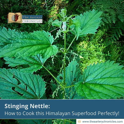 Himalayan Superfood: How to Cook Stinging Nettle Perfectly