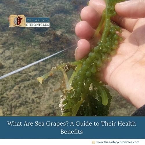 What Are Sea Grapes? A Guide to Their Health Benefits