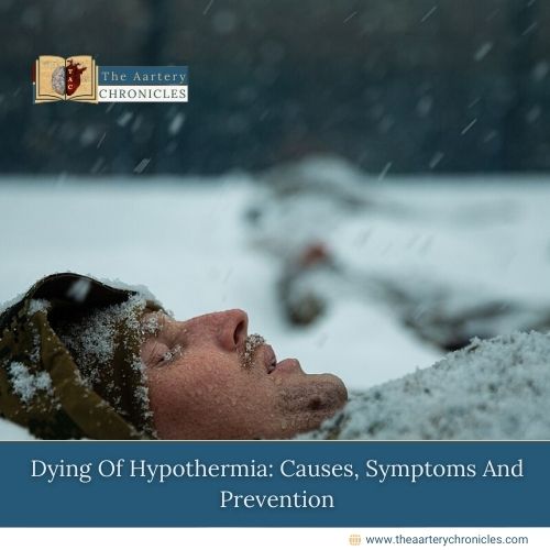 Dying-Of-Hypothermia:-Causes,-Symptoms-And-Prevention-The-Aartery-Chronicles-TAC