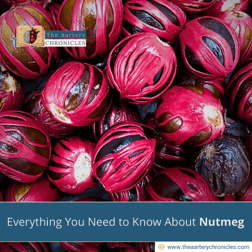 Everything-You-Need-to-Know-About-Nutmeg:-From-Tree-to-Table-The-Aartery-Chronicles-TAC