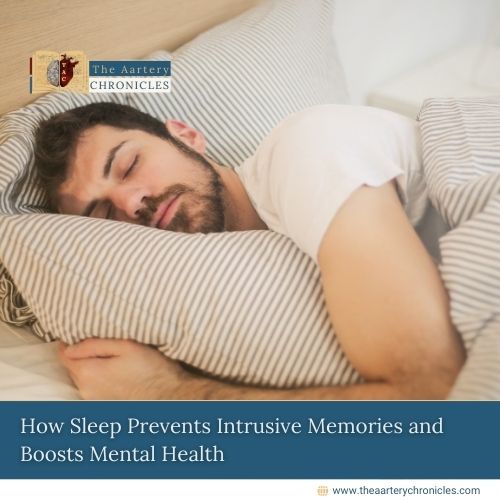 sleep-as-a-shield-against-unwanted-memories-insights-from-new-research-the-aartery-chronicles-tac