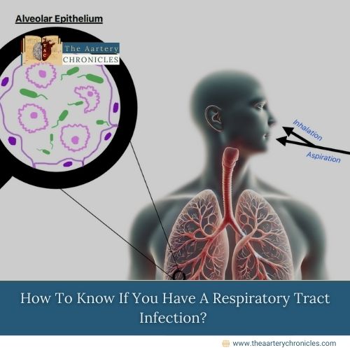 How-To-Know-If-You-Have-A-Respiratory-Tract-Infection?-The-Aartery-Chronicles-TAC