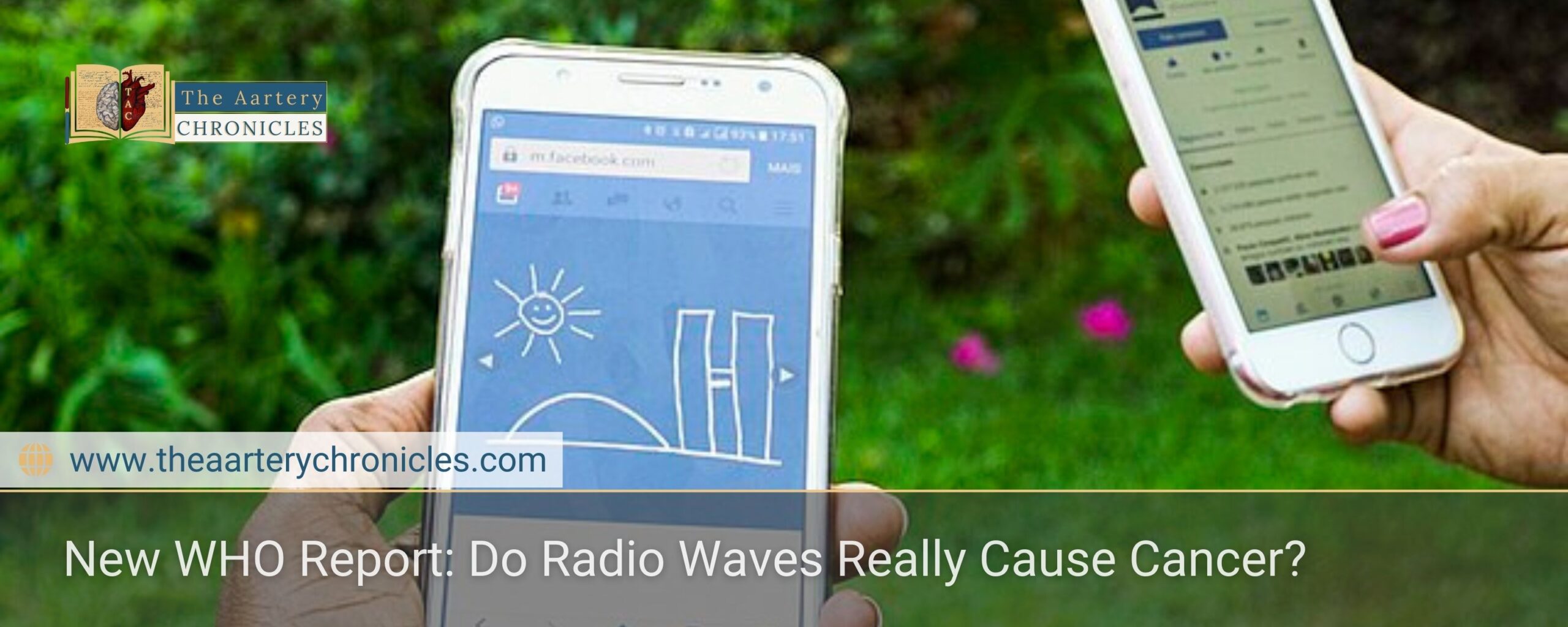 New WHO Report: Do Radio Waves Really Cause Cancer?