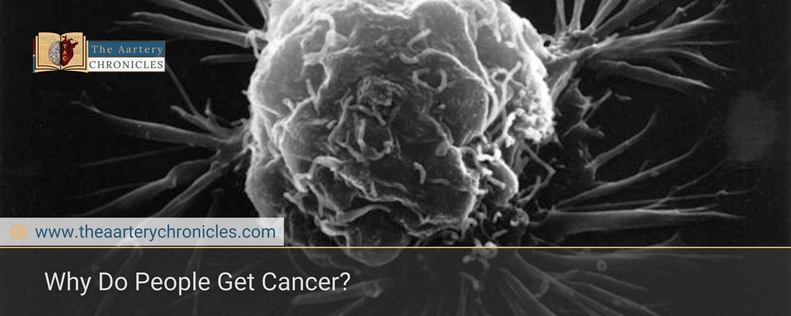 Why-Do-People-Get-Cancer?-The-Aartery-Chronicles-TAC