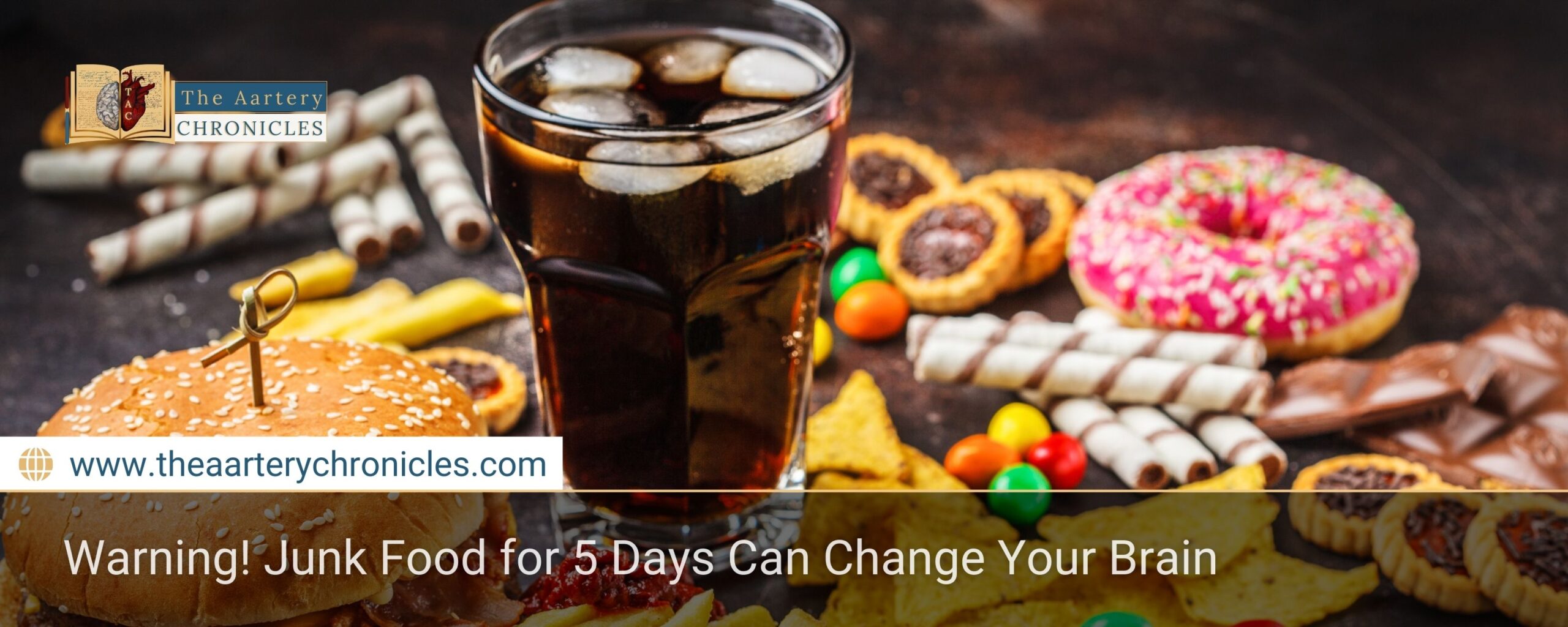 Warning! Junk Food for 5 Days Can Change Your Brain