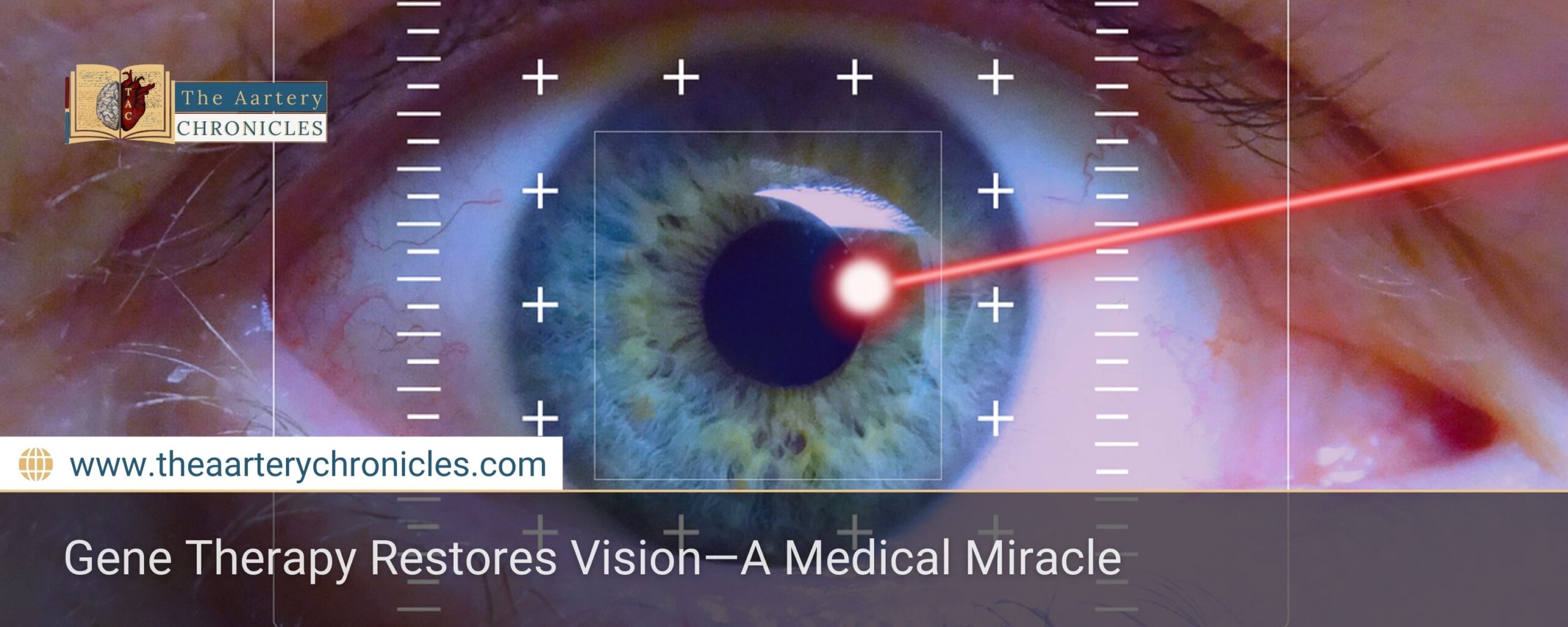 Gene Therapy Restores Vision—A Medical Miracle