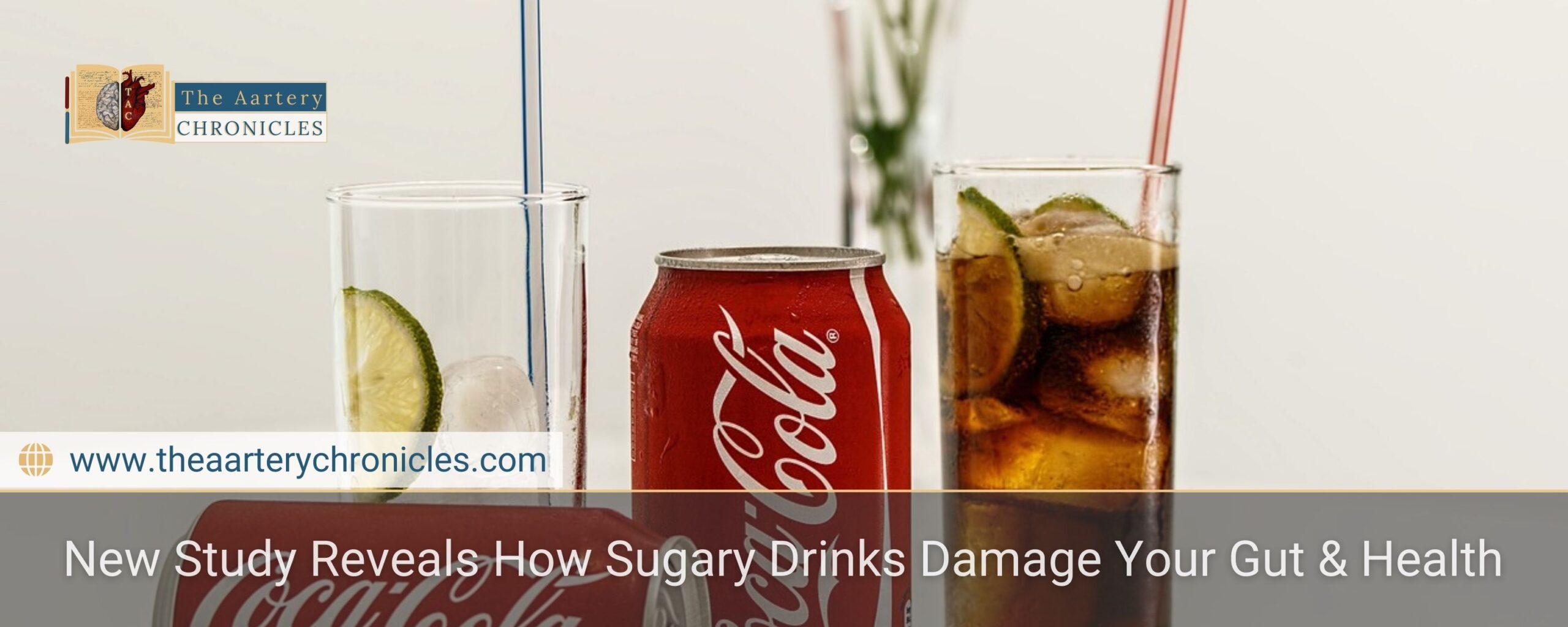 New Study Reveals How Sugary Drinks Damage Your Gut & Health