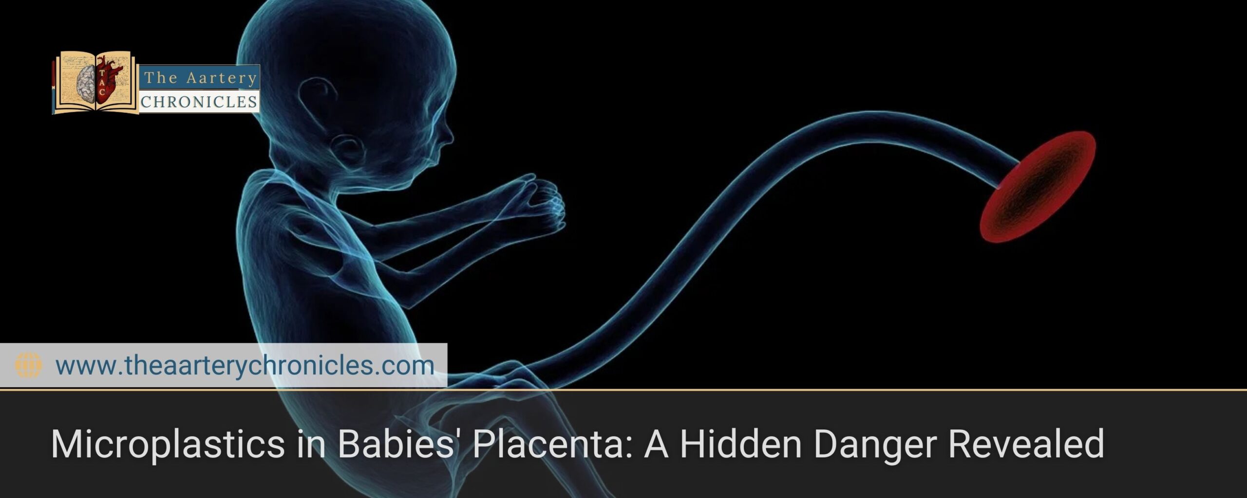 Microplastics in Babies' Placenta: A Hidden Danger Revealed