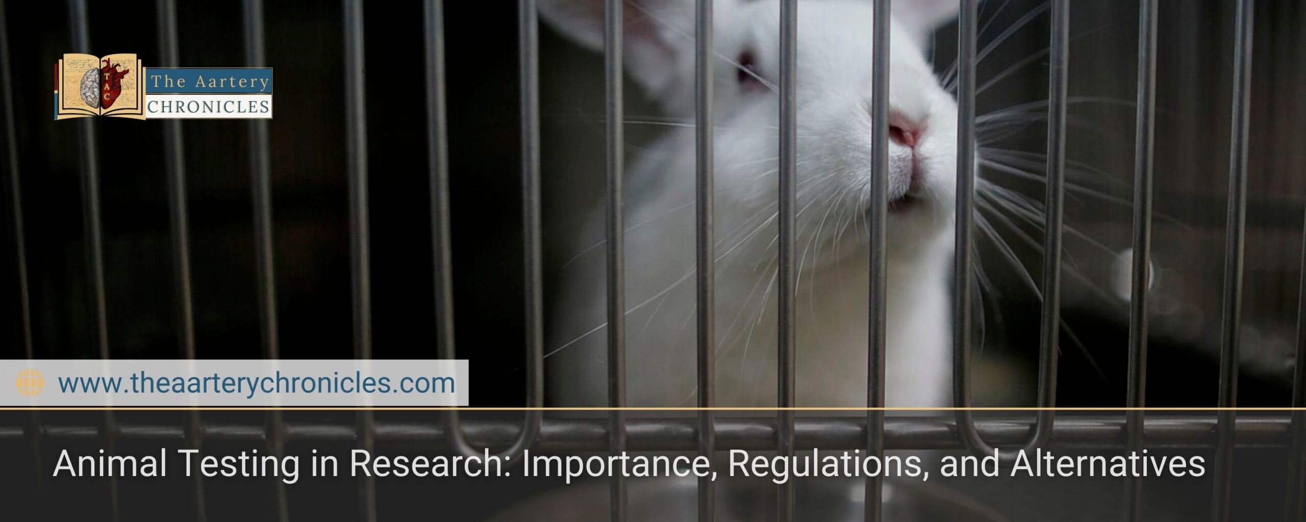 Animal-Testing-in-Research:-Importance,-Regulations,-and-Alternatives-The-Aartery-Chronicles-TAC