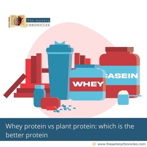 Whey-protein-vs-plant-protein:-which-is-the-better-protein-The-Aartery-Chronicles-TAC