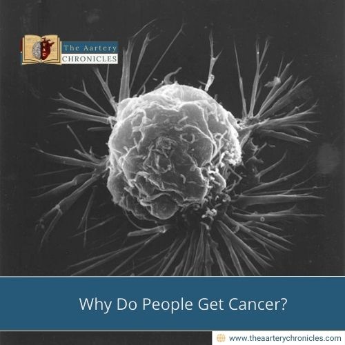 Why Do People Get Cancer?