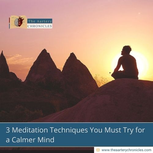 3-Meditation-Techniques-You-Must-Try-for-a-Calmer-Mind-The-Aartery-Chronicles-TAC