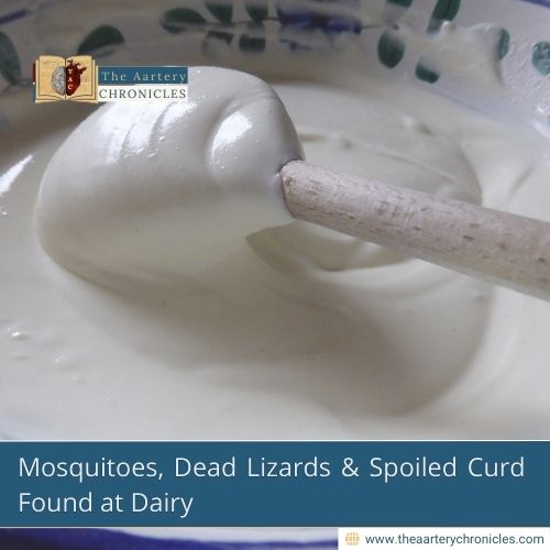 Mosquitoes, Dead Lizards & Spoiled Curd Found at Dairy