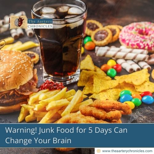 Warning! Junk Food for 5 Days Can Change Your Brain