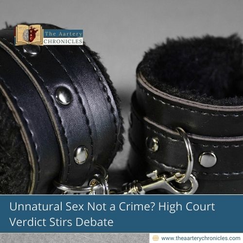 Unnatural Sex Not a Crime? High Court Verdict Stirs Debate