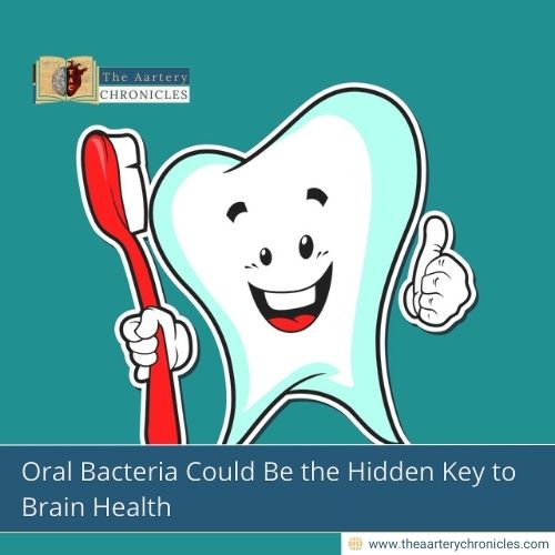 Oral Bacteria Could Be the Hidden Key to Brain Health
