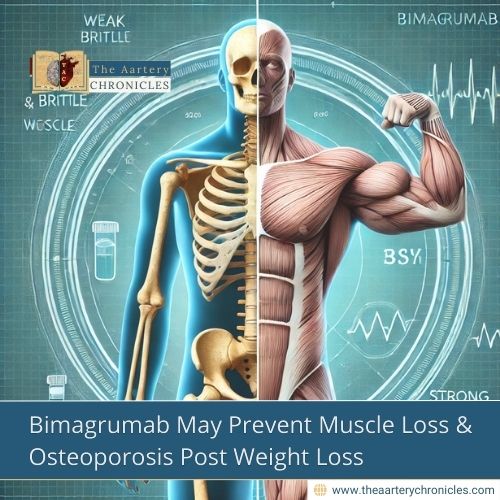 bimagrumab-a-game-changer-for-muscle-loss-amp-bone-health-after-weight-loss-the-aartery-chronicles-tac