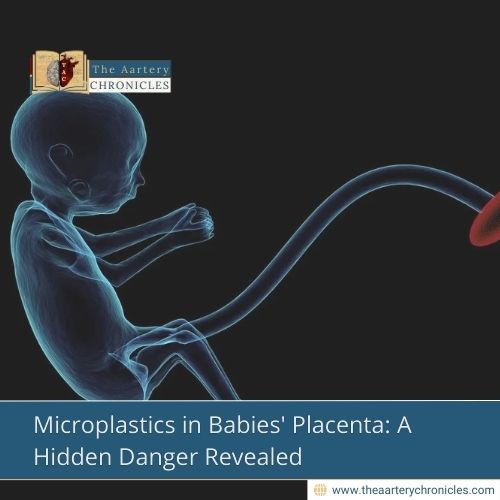 Microplastics in Babies' Placenta: A Hidden Danger Revealed