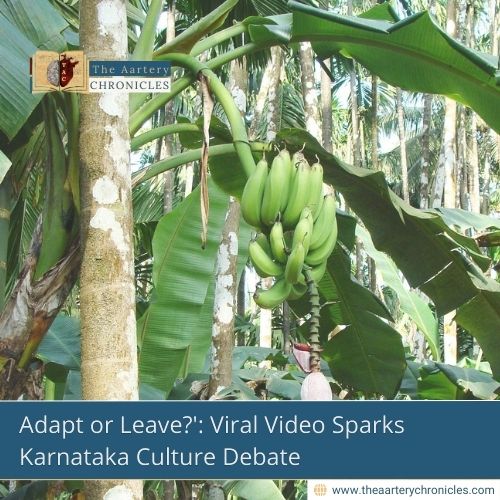 Adapt or Leave?': Viral Video Sparks Karnataka Culture Debate