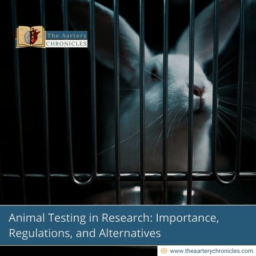 Animal Testing in Research: Importance, Regulations, and Alternatives