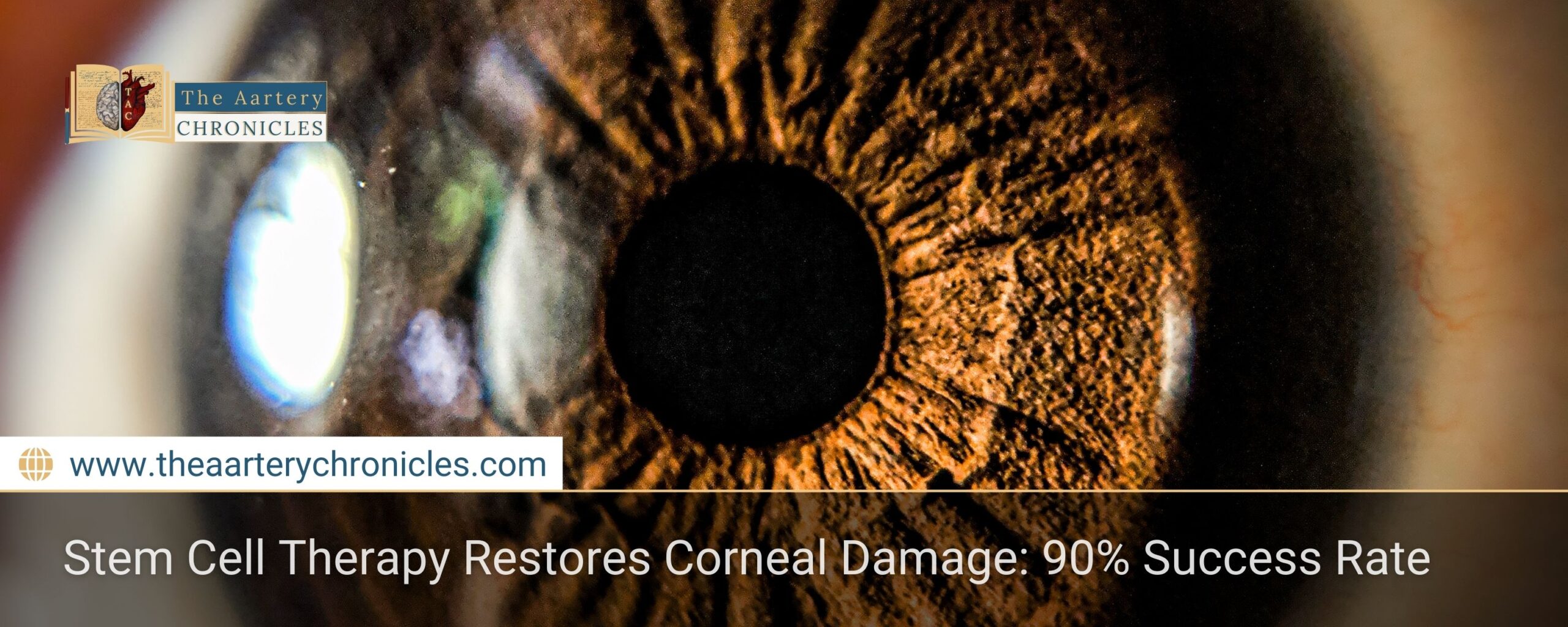 breakthrough-stem-cell-therapy-restores-corneal-damage-the-aartery-chronicles-tac